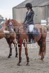 North Showjumping_2016-201