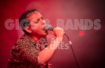 Pigsx7-34