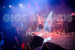 Pigsx7-58