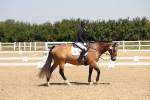 SBM_004397
