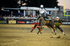 3HRodeo_PBR_TEAMS_JUL_2026_0451