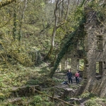 Ashworth Valley