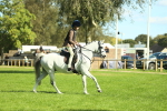 SBM_39196