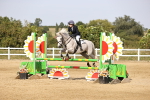 SBM_03334