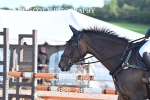 BPP_2456