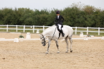 SBM_00797