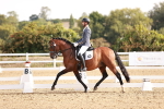 SBM_016977