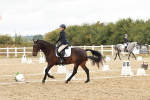 SBM_003754