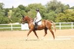 SBM_001445
