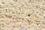 230701A-095909-04431