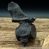 Sold vert198 Plesiosaur sp vertebrea