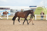 SBM_07902