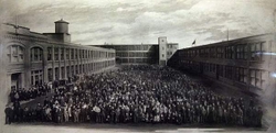 Packard Historical Photos portfolio