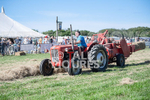 Guernsey Agricultural Show 2021-207