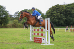 Class 7: Senior Newcomers/1.10m open portfolio