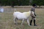 WJ6_6128
