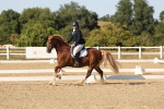 SBM_007056