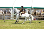 SBM_15631