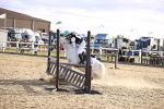 SBM_003566