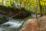 Tollymore Forest 2020 - Approaching the Stepping Stones