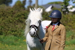 Class 17: Young Handler portfolio