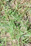 SBM_19480