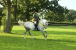 SBM_52271