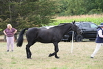 WJ6_6120