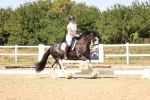 SBM_012283