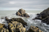 Isle Head, Isle of Whithorn