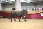 SBM_05654
