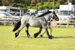 SBM_00704
