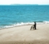 Dream Beach