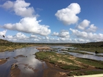 River View,Just One Of Many In The Kruger Park