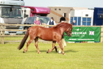 SBM_00442