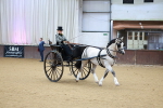 SBM_000028