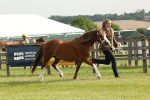 SBM_00487