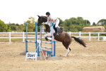 SBM_002503