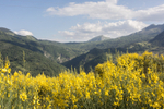 9235 Terranova di Pollino