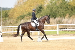 SBM_012485