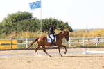 SBM_006880