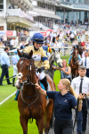 170623-Race 1-Noble Anthem-0041