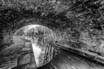 Bridge 20 (Ryle's), Macclesfield Canal