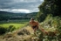 DSCF5039