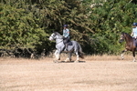 WJ6_7803