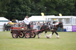 SBM_07045
