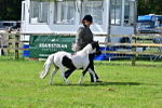 SBM_03416