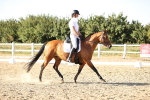 SBM_007797