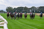 Race 4 4pm Ivegate Building Handicap portfolio