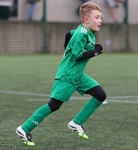 Trimpell & Bare Rangers portfolio